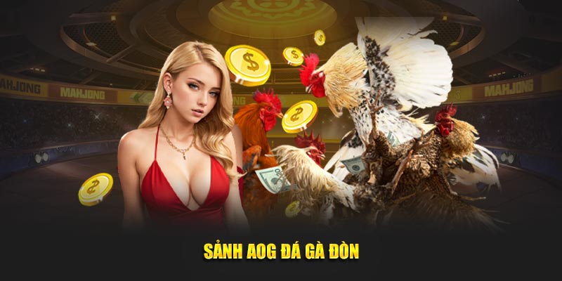 Sảnh AOG đá gà đòn